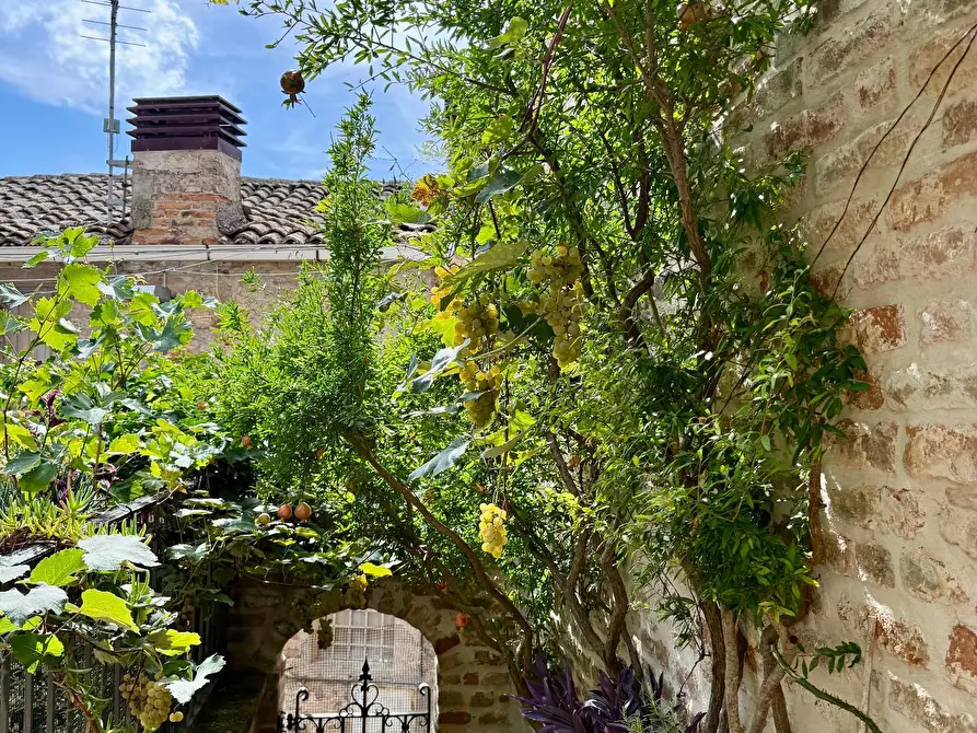 Immagine 17 di Appartamento in vendita  a Ripatransone