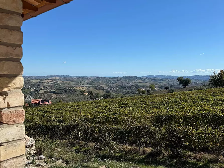 Immagine 4 di Rustico / casale in vendita  a Appignano Del Tronto