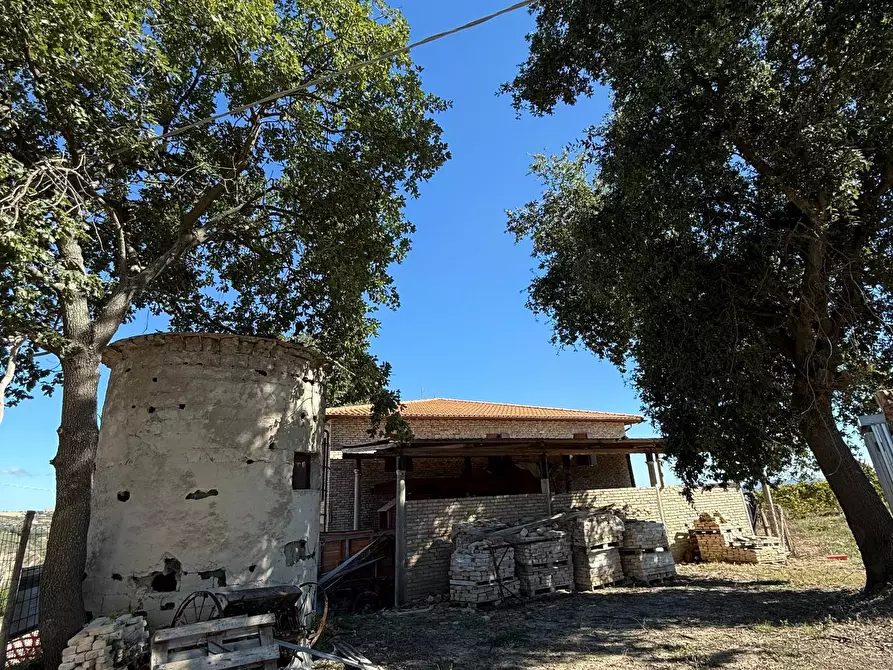 Immagine 13 di Rustico / casale in vendita  a Appignano Del Tronto