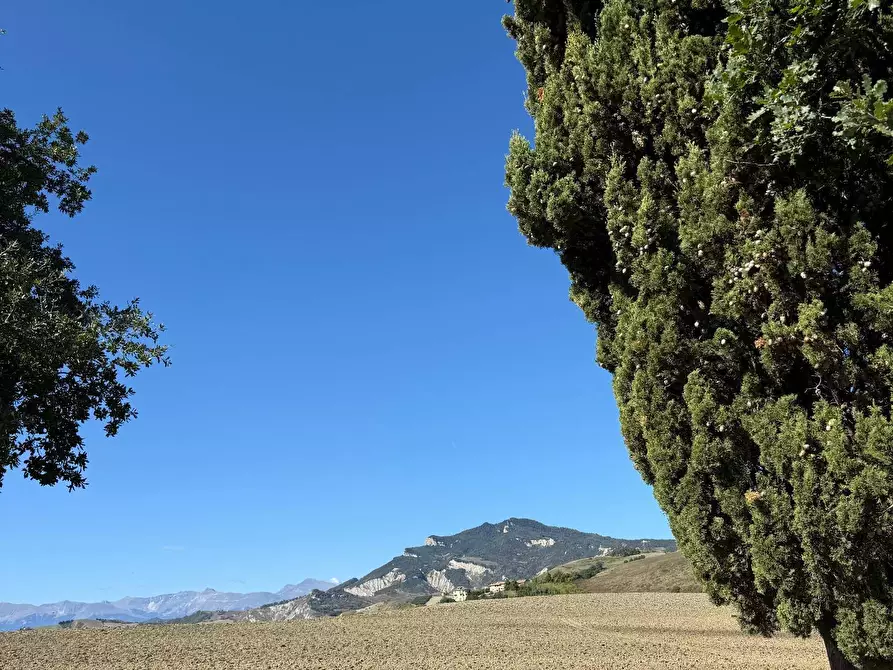 Immagine 14 di Rustico / casale in vendita  a Appignano Del Tronto