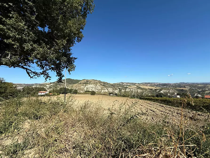 Immagine 15 di Rustico / casale in vendita  a Appignano Del Tronto