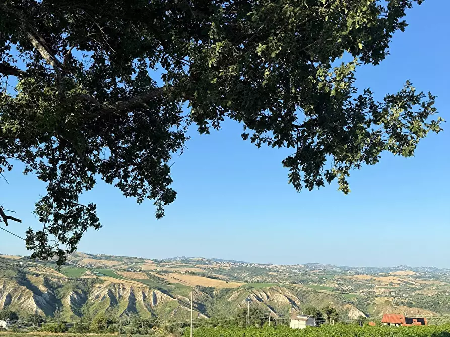 Immagine 18 di Rustico / casale in vendita  a Appignano Del Tronto