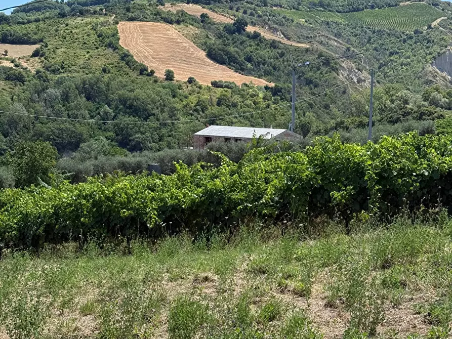Immagine 20 di Rustico / casale in vendita  in Collevecchio a Ripatransone