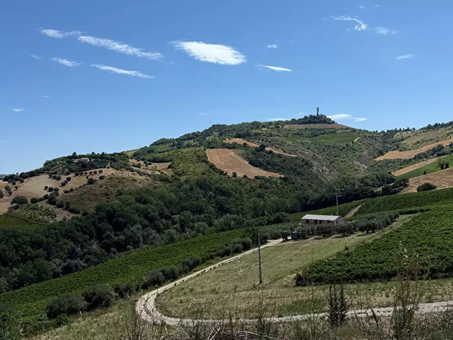 Immagine 21 di Rustico / casale in vendita  in Collevecchio a Ripatransone