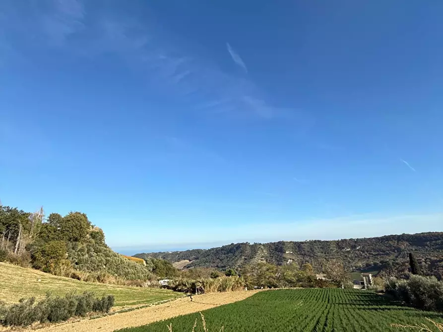 Immagine 21 di Rustico / casale in vendita  a Ripatransone