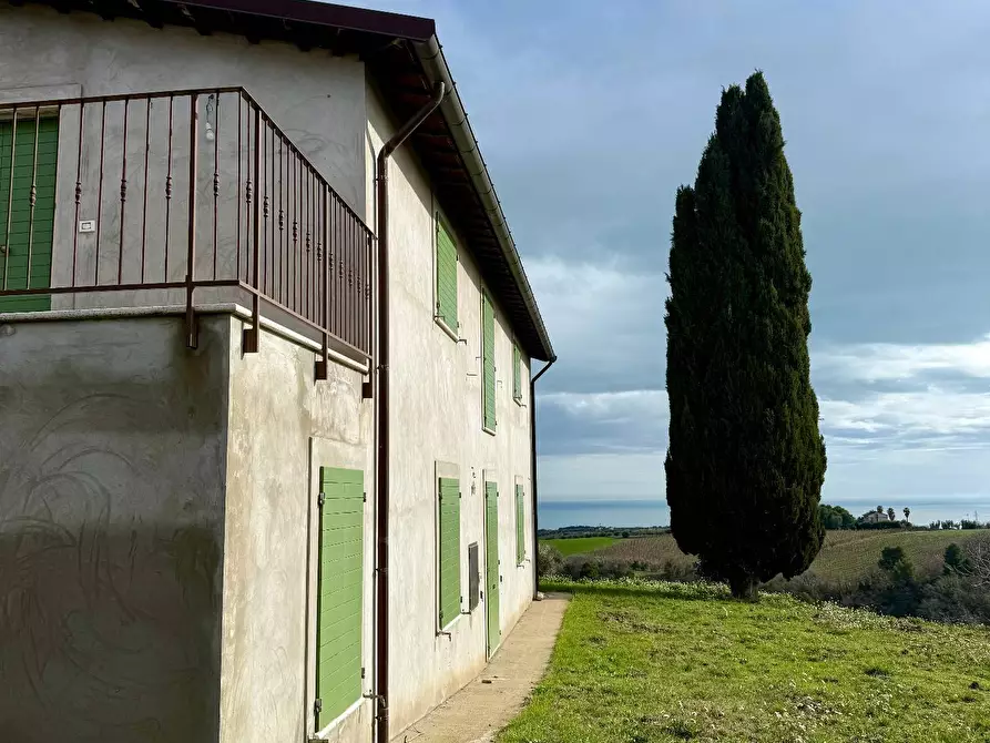 Immagine 51 di Rustico / casale in vendita  in Quercia Ferrata a Ripatransone
