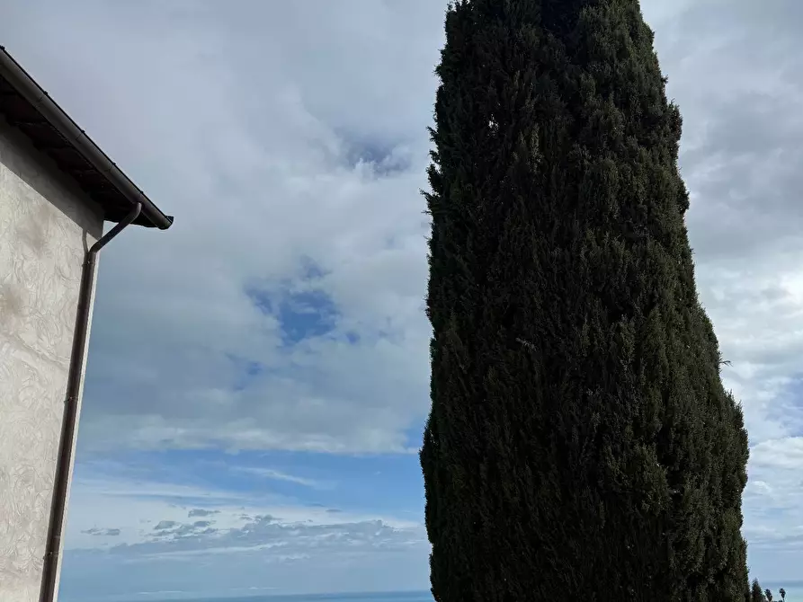 Immagine 53 di Rustico / casale in vendita  in Quercia Ferrata a Ripatransone