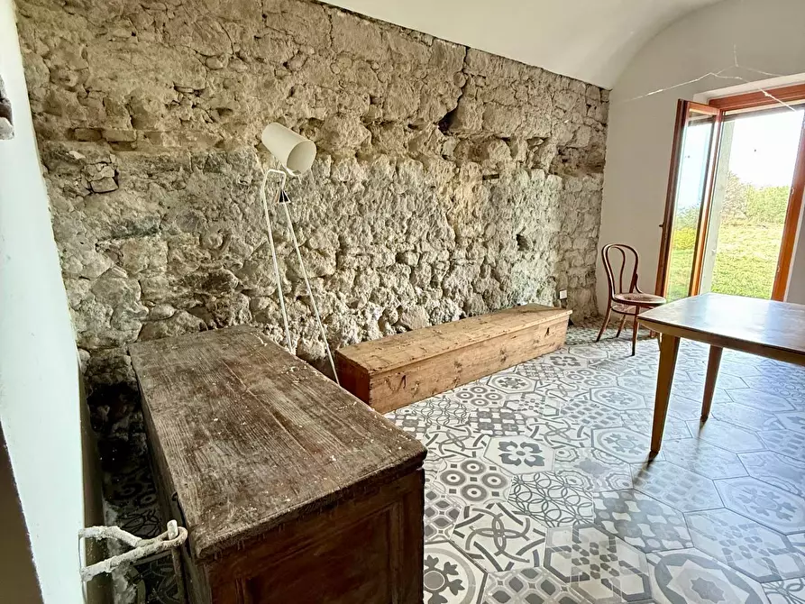 Immagine 17 di Rustico / casale in vendita  in Quercia Ferrata a Ripatransone