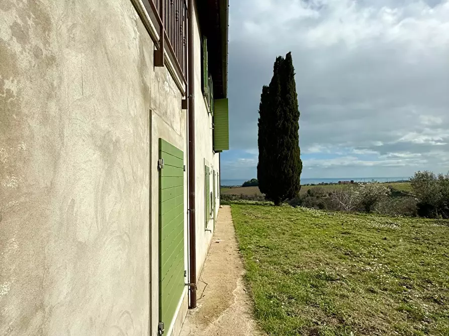 Immagine 55 di Rustico / casale in vendita  in Quercia Ferrata a Ripatransone