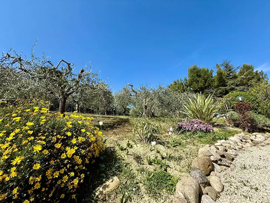 Immagine 4 di Rustico / casale in vendita  in Contrada Tesino 265 a San Benedetto Del Tronto