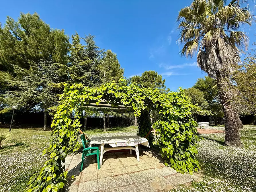 Immagine 6 di Rustico / casale in vendita  in Contrada Tesino 265 a San Benedetto Del Tronto