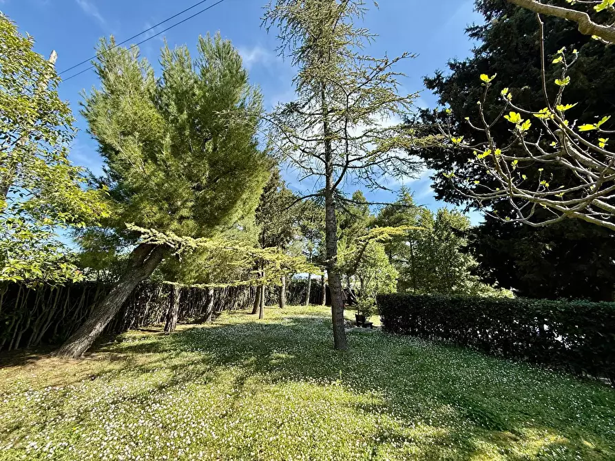 Immagine 7 di Rustico / casale in vendita  in Contrada Tesino 265 a San Benedetto Del Tronto