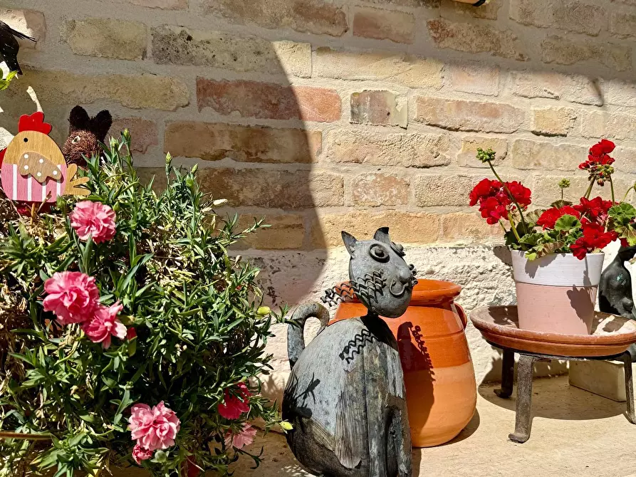 Immagine 21 di Rustico / casale in vendita  in Contrada Tesino 265 a San Benedetto Del Tronto