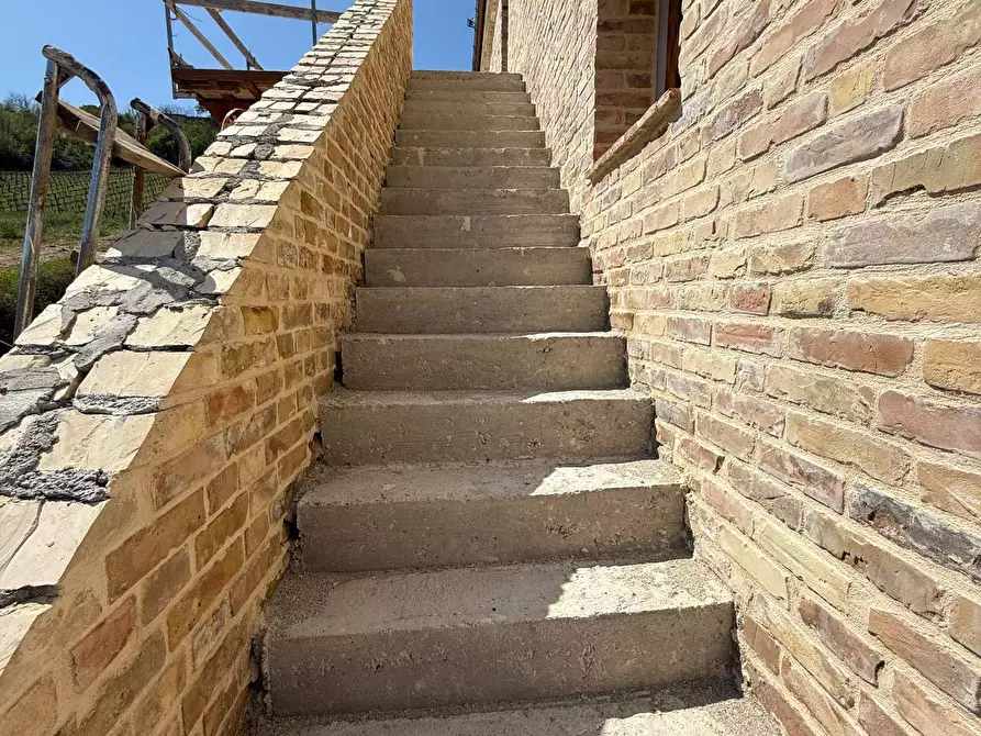 Immagine 18 di Rustico / casale in vendita  in Collevecchio a Ripatransone