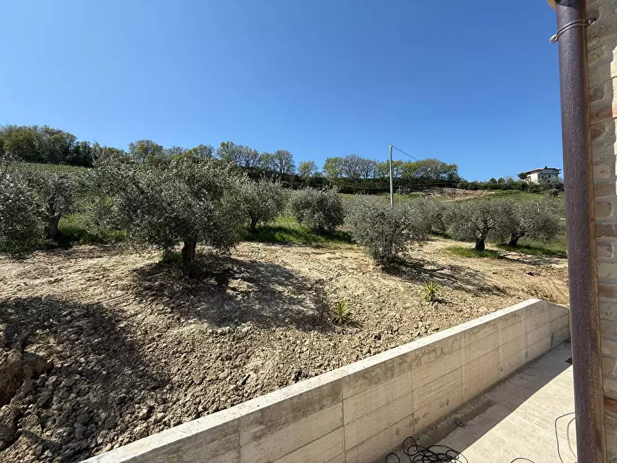 Immagine 19 di Rustico / casale in vendita  in Collevecchio a Ripatransone