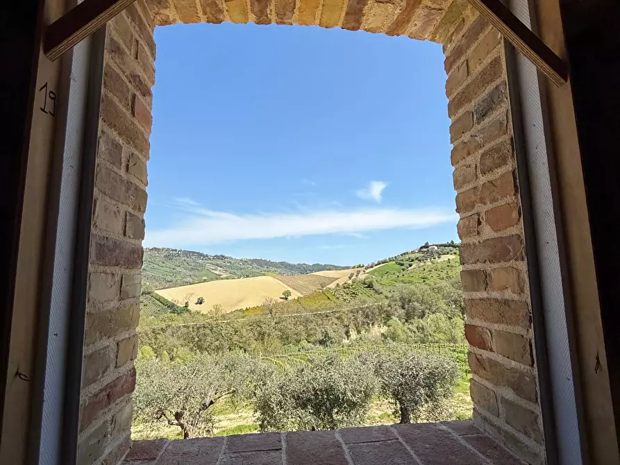 Immagine 22 di Rustico / casale in vendita  in Collevecchio a Ripatransone