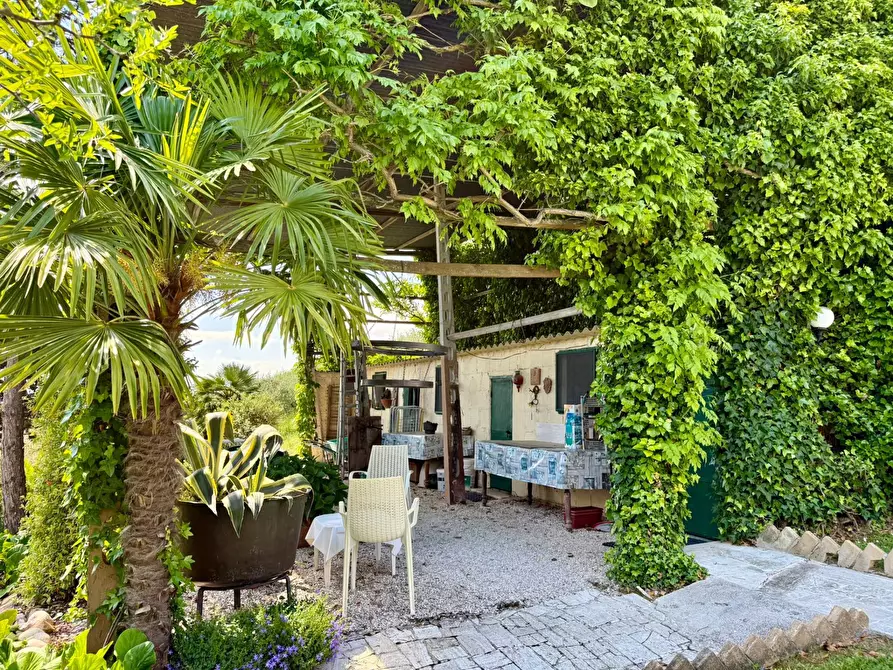Immagine 23 di Rustico / casale in vendita  in Contrada Tesino a San Benedetto Del Tronto