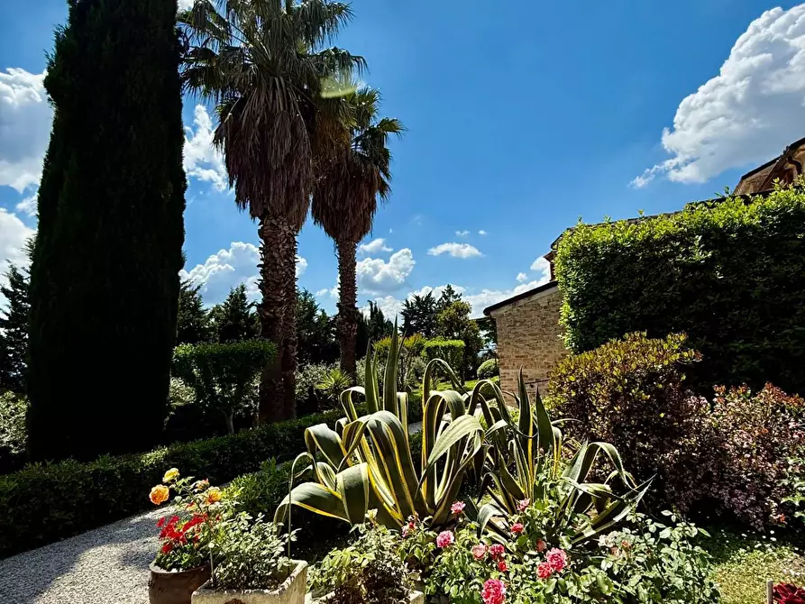 Immagine 30 di Rustico / casale in vendita  in Contrada Tesino a San Benedetto Del Tronto