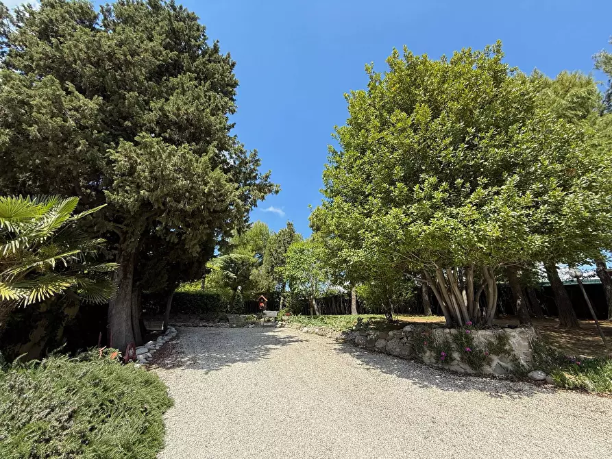Immagine 45 di Rustico / casale in vendita  in Contrada Tesino a San Benedetto Del Tronto