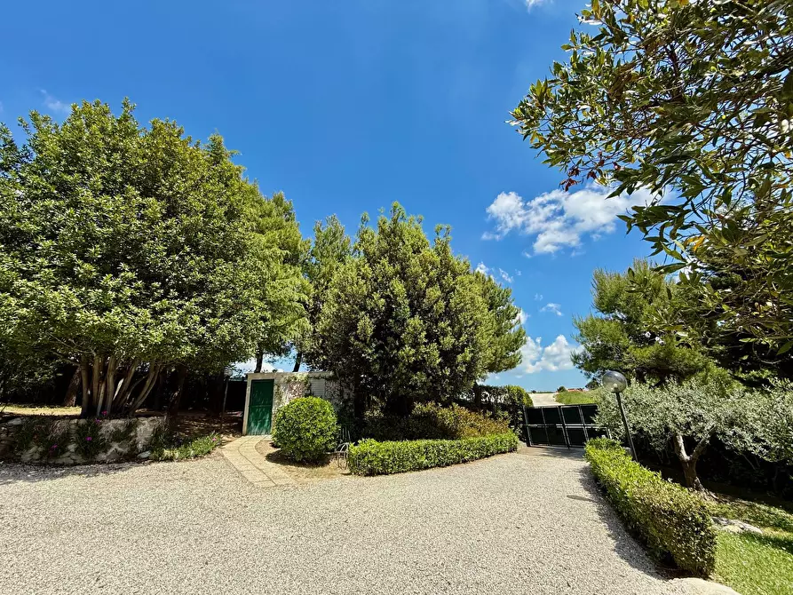 Immagine 46 di Rustico / casale in vendita  in Contrada Tesino a San Benedetto Del Tronto
