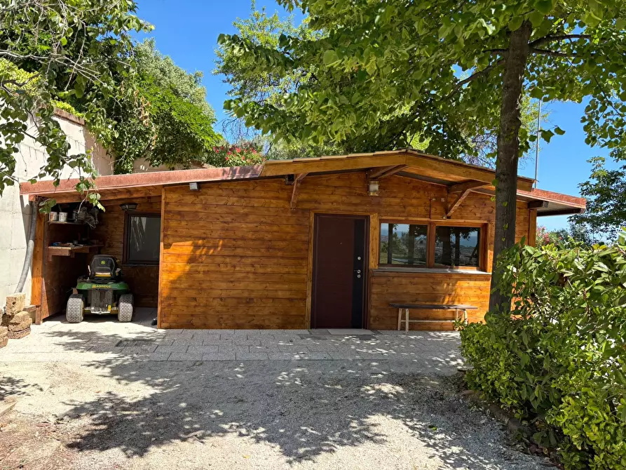 Immagine 35 di Villa in vendita  a Ancarano