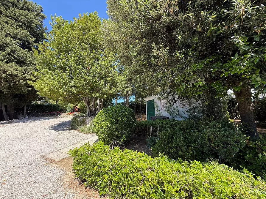 Immagine 49 di Rustico / casale in vendita  in Contrada Tesino a San Benedetto Del Tronto