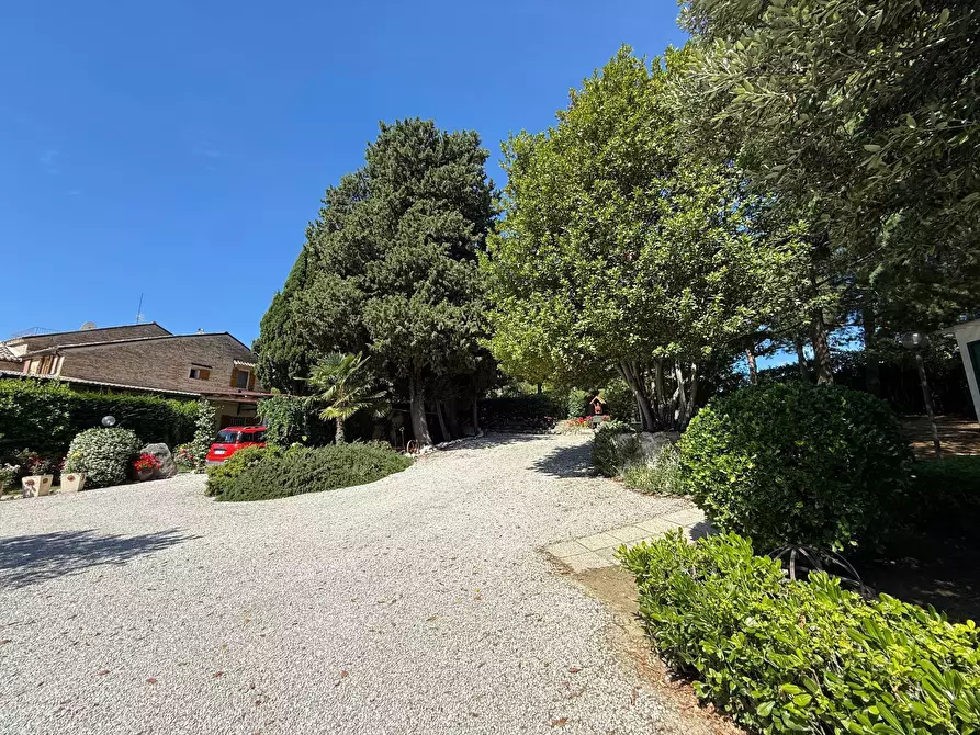 Immagine 50 di Rustico / casale in vendita  in Contrada Tesino a San Benedetto Del Tronto