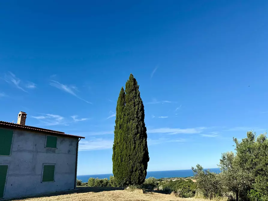 Immagine 38 di Rustico / casale in vendita  in Quercia Ferrata a Ripatransone