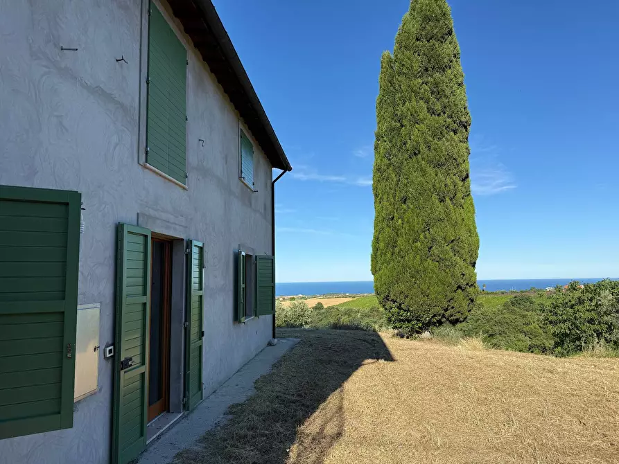 Immagine 4 di Rustico / casale in vendita  in Quercia Ferrata a Ripatransone