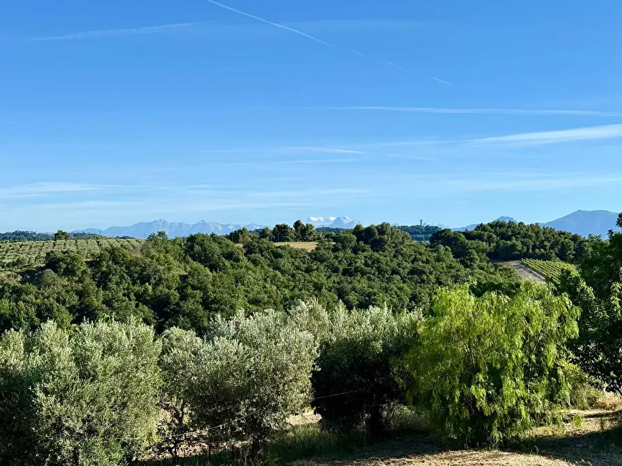 Immagine 12 di Rustico / casale in vendita  in Quercia Ferrata a Ripatransone