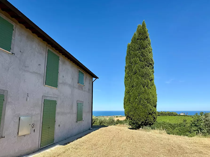Immagine 10 di Rustico / casale in vendita  in Quercia Ferrata a Ripatransone