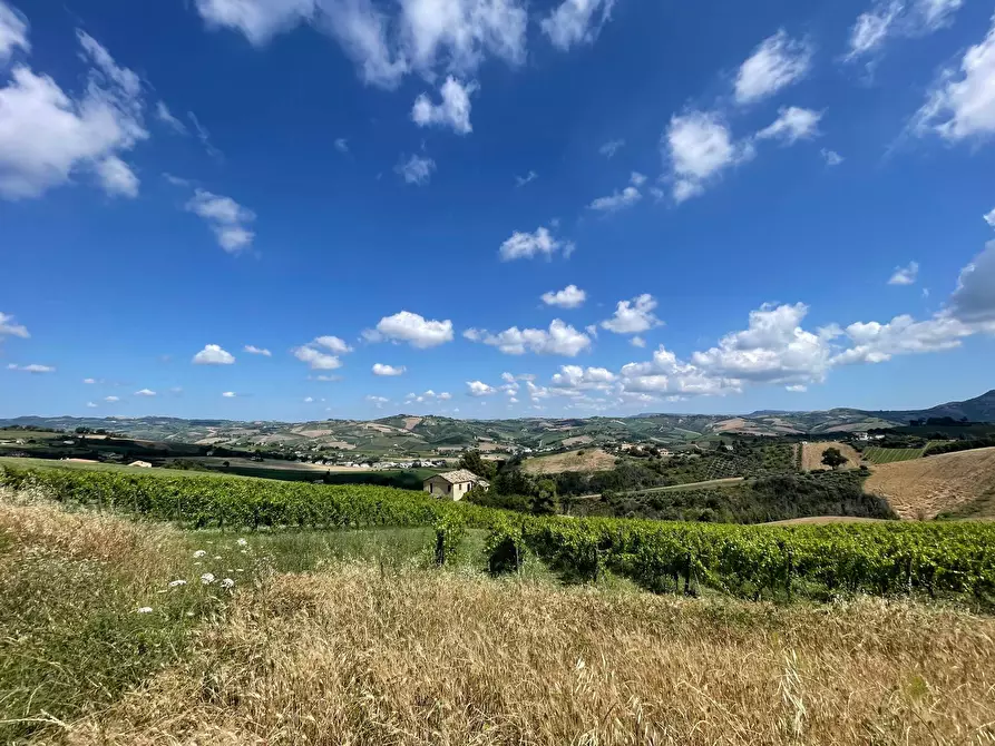 Immagine 1 di Rustico / casale in vendita  in Borgo Miriam a Offida