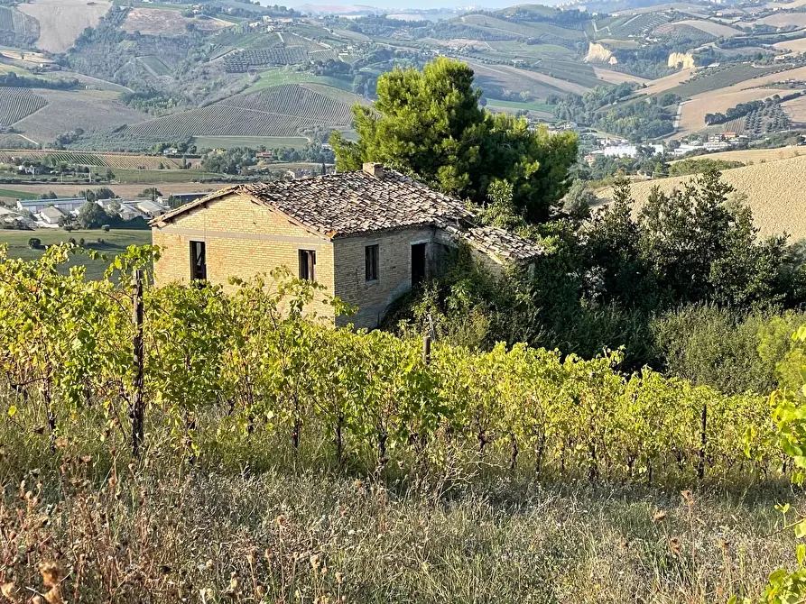 Immagine 18 di Rustico / casale in vendita  in Borgo Miriam a Offida