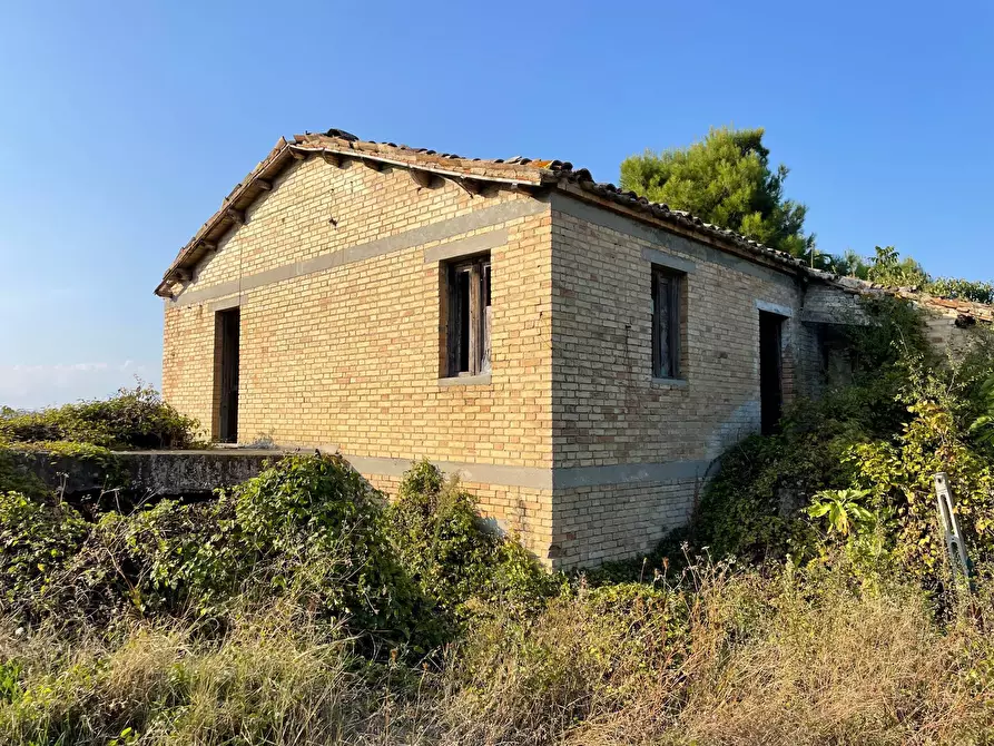 Immagine 5 di Rustico / casale in vendita  in Borgo Miriam a Offida