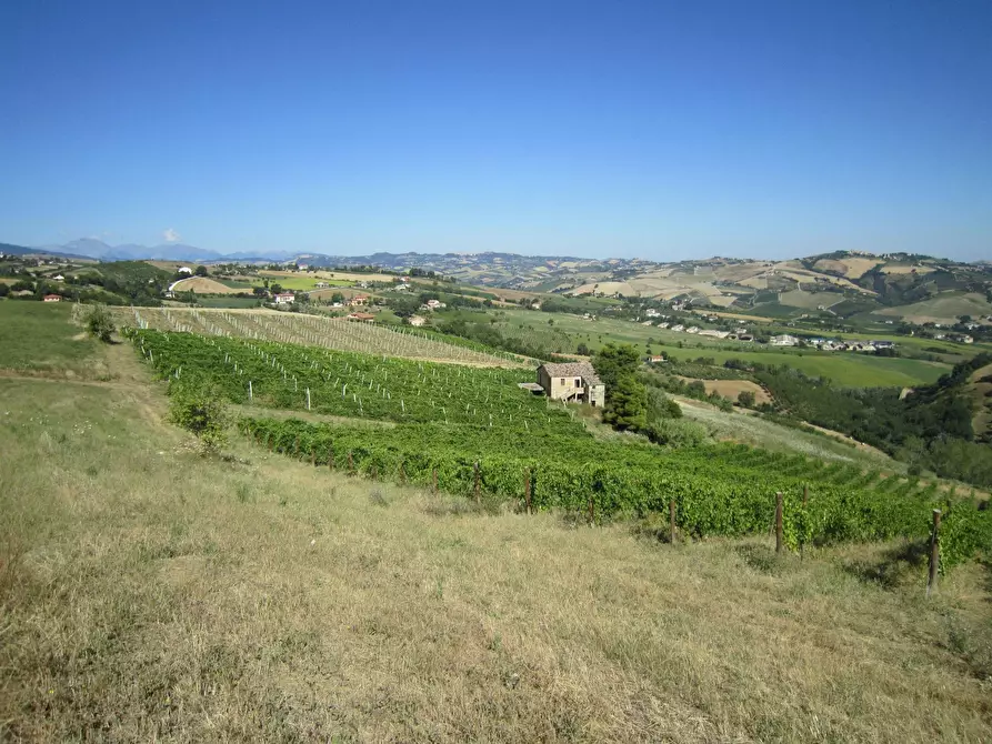 Immagine 19 di Rustico / casale in vendita  in Borgo Miriam a Offida