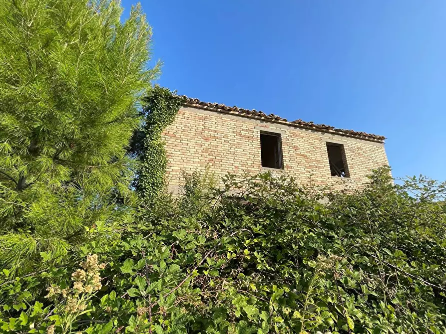 Immagine 3 di Rustico / casale in vendita  in Borgo Miriam a Offida
