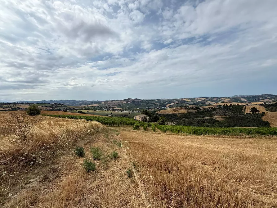 Immagine 23 di Rustico / casale in vendita  in Borgo Miriam a Offida