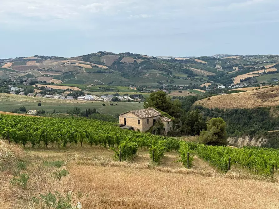 Immagine 1 di Rustico / casale in vendita  in Borgo Miriam a Offida
