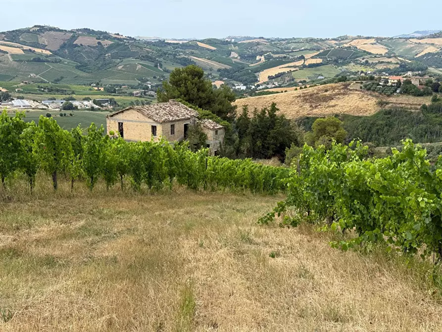 Immagine 24 di Rustico / casale in vendita  in Borgo Miriam a Offida