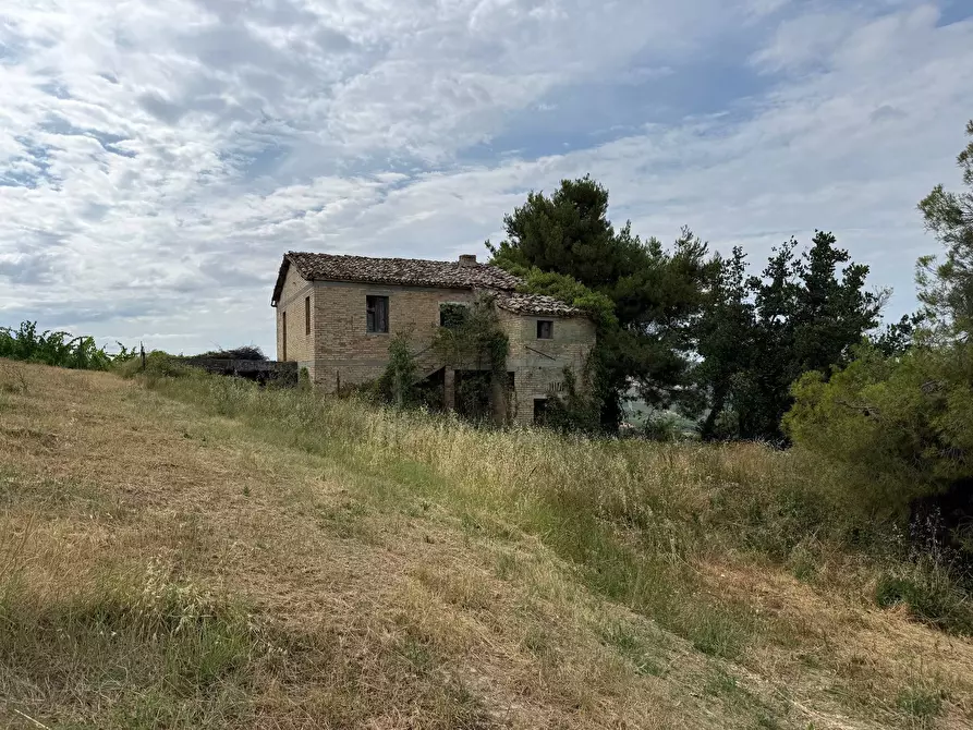 Immagine 26 di Rustico / casale in vendita  in Borgo Miriam a Offida