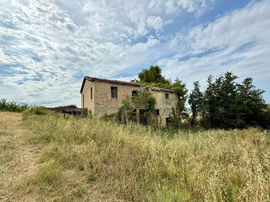 Immagine 27 di Rustico / casale in vendita  in Borgo Miriam a Offida