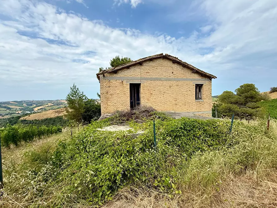 Immagine 28 di Rustico / casale in vendita  in Borgo Miriam a Offida