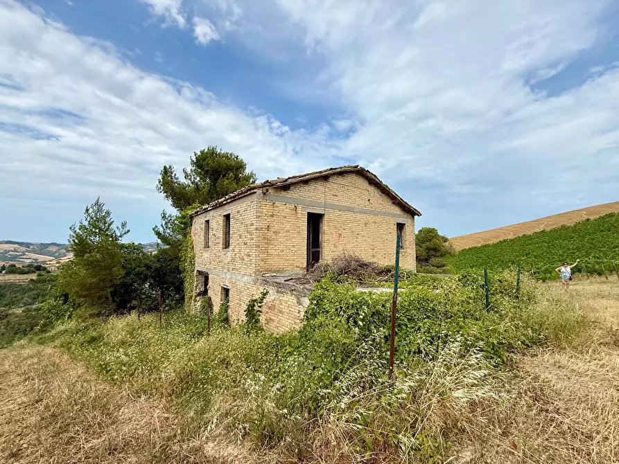Immagine 29 di Rustico / casale in vendita  in Borgo Miriam a Offida