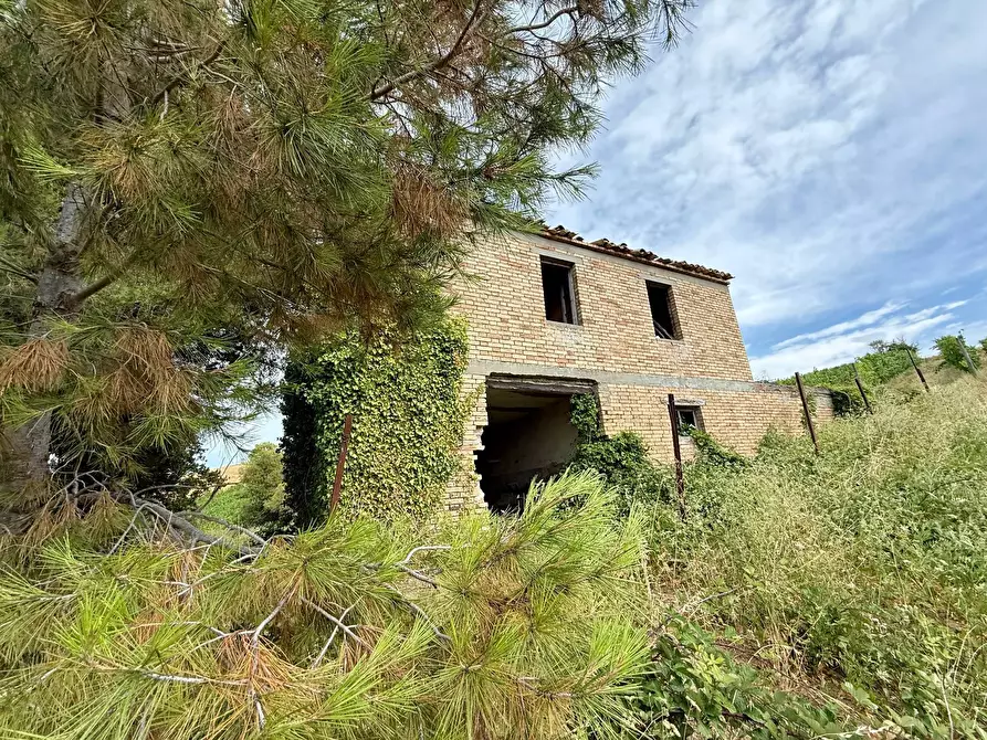 Immagine 31 di Rustico / casale in vendita  in Borgo Miriam a Offida