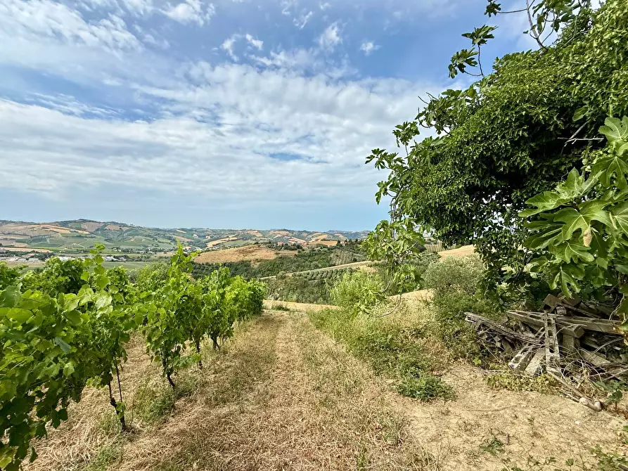 Immagine 32 di Rustico / casale in vendita  in Borgo Miriam a Offida