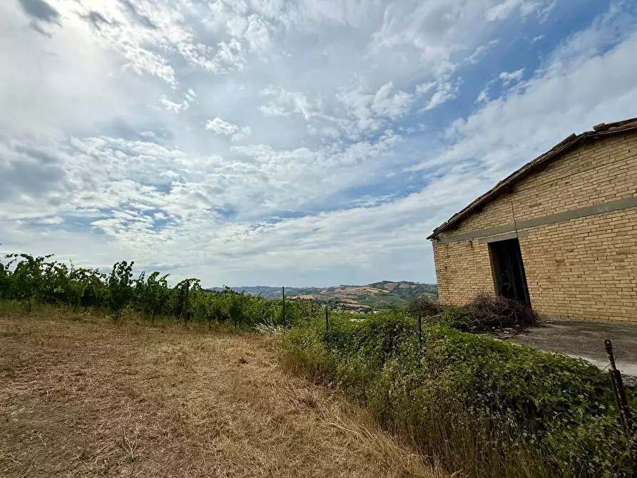Immagine 33 di Rustico / casale in vendita  in Borgo Miriam a Offida