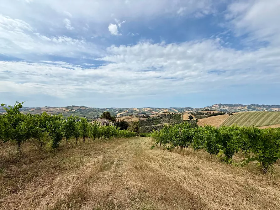 Immagine 36 di Rustico / casale in vendita  in Borgo Miriam a Offida