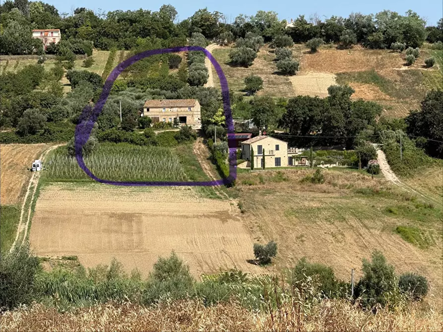 Immagine 2 di Rustico / casale in vendita  a Altidona