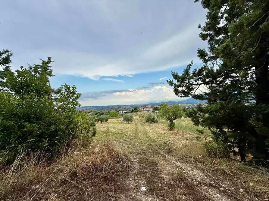 Immagine 6 di Rustico / casale in vendita  in via Lava a Offida