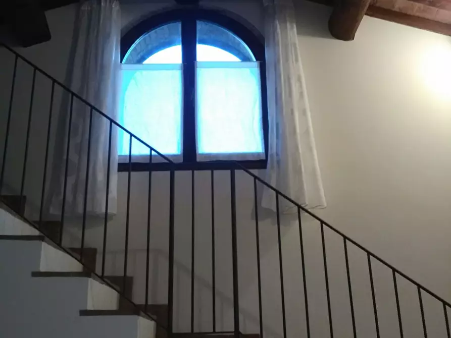 Immagine 15 di Residence in affitto  a Montespertoli